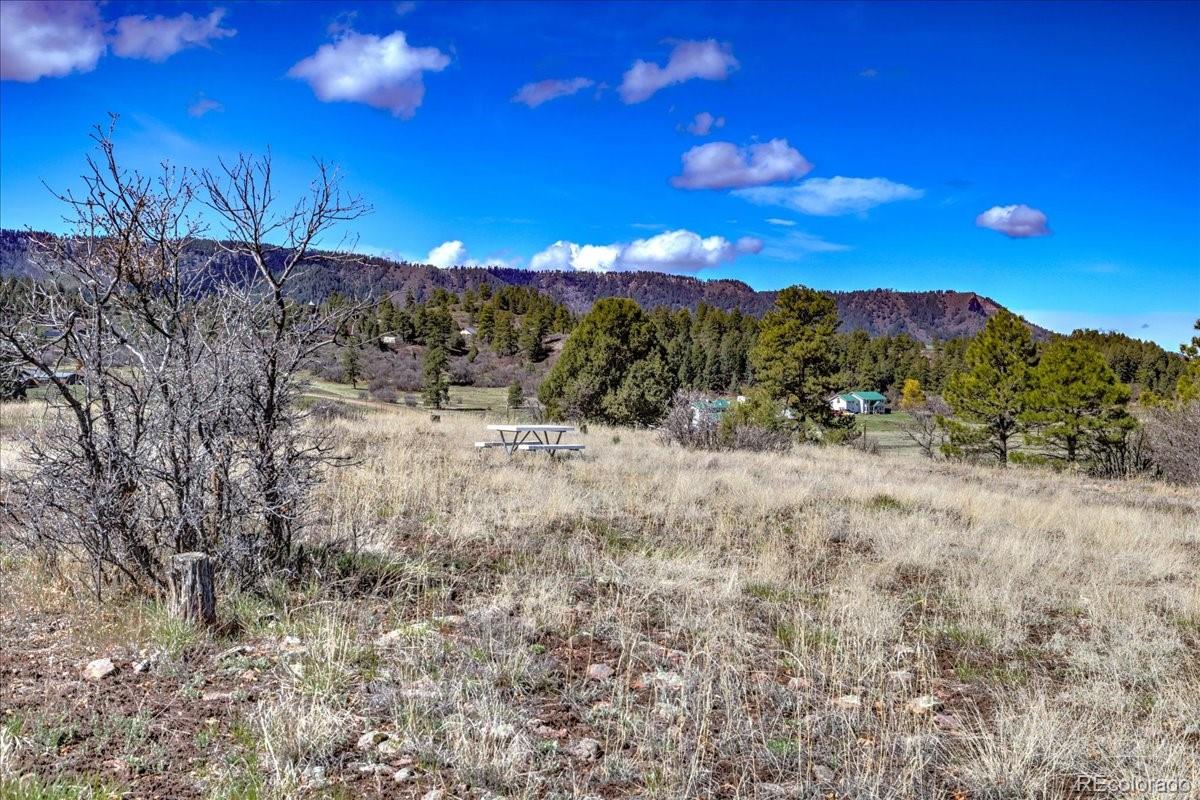 1234 Scenic Avenue Pagosa Springs CO 81147
