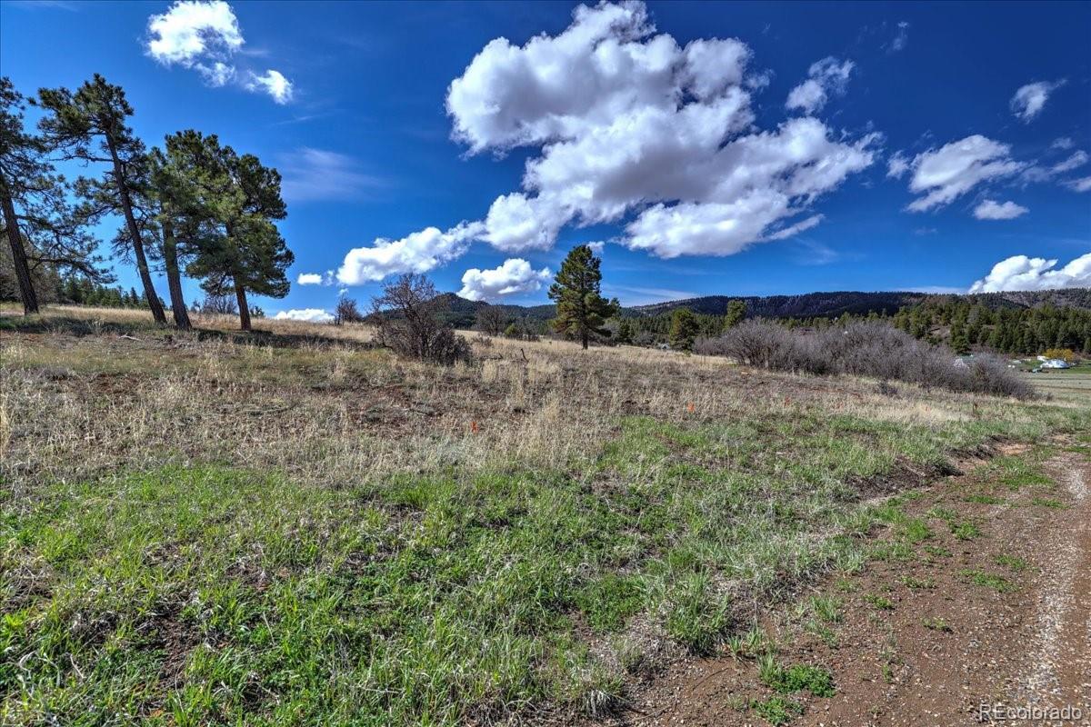 1234 Scenic Avenue Pagosa Springs CO 81147