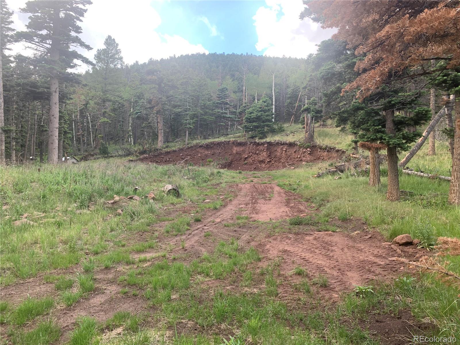 2956 Kemper Loop Fort Garland CO 81133