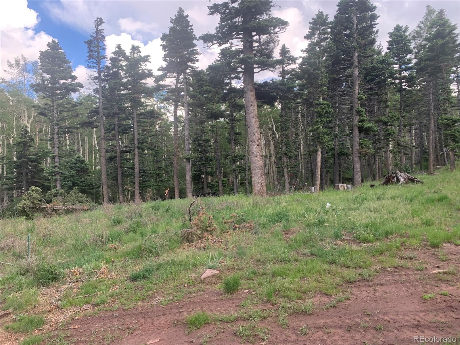 2956 Kemper Loop Fort Garland CO 81133