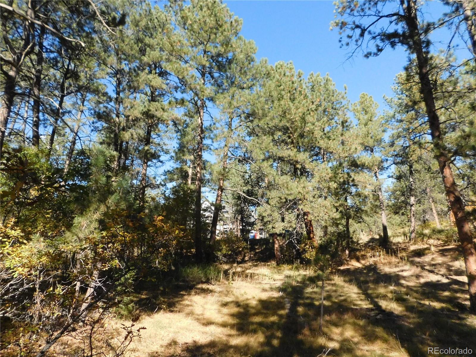 682 Copper Fox Place Larkspur CO 80118