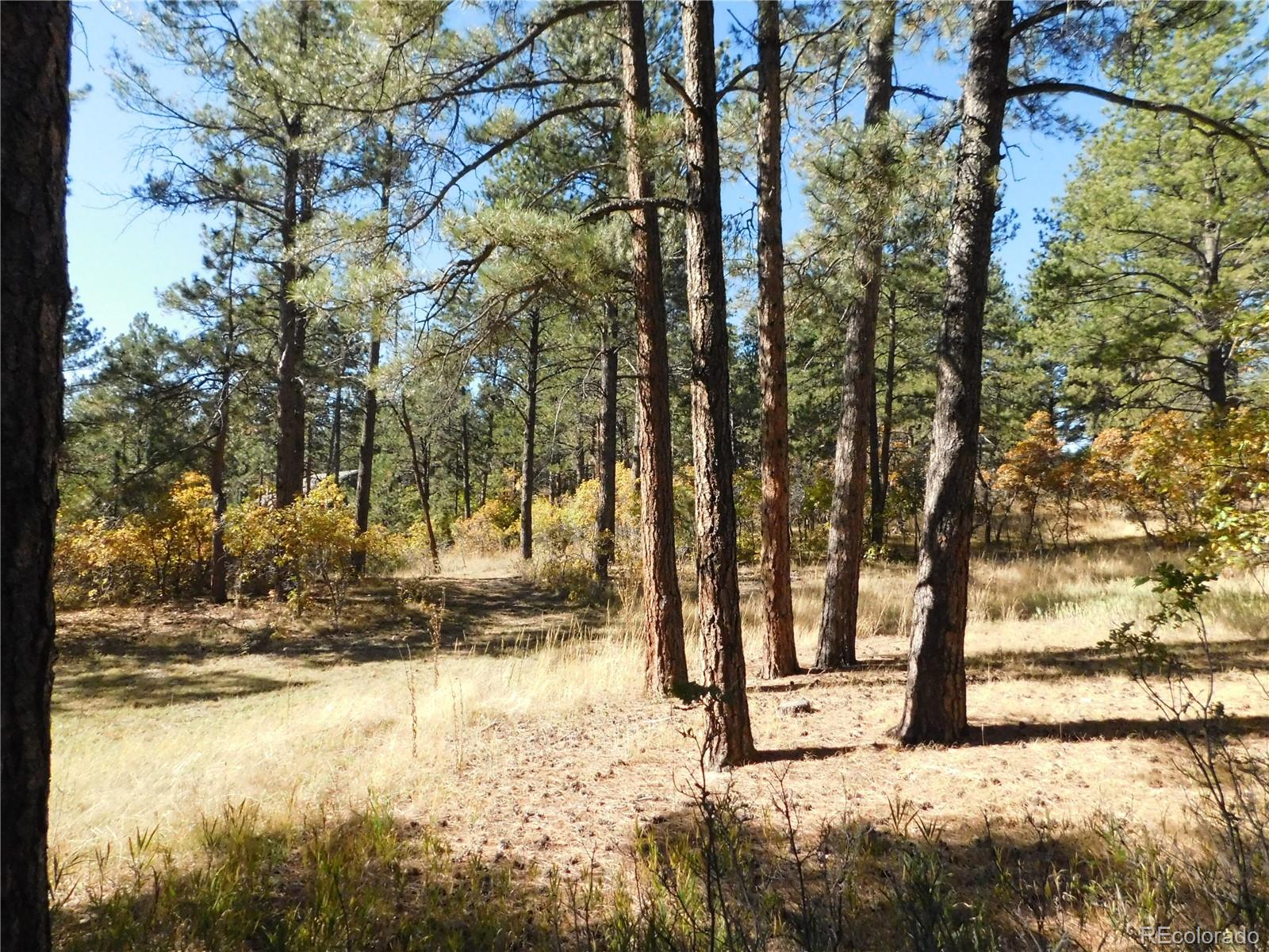 682 Copper Fox Place Larkspur CO 80118