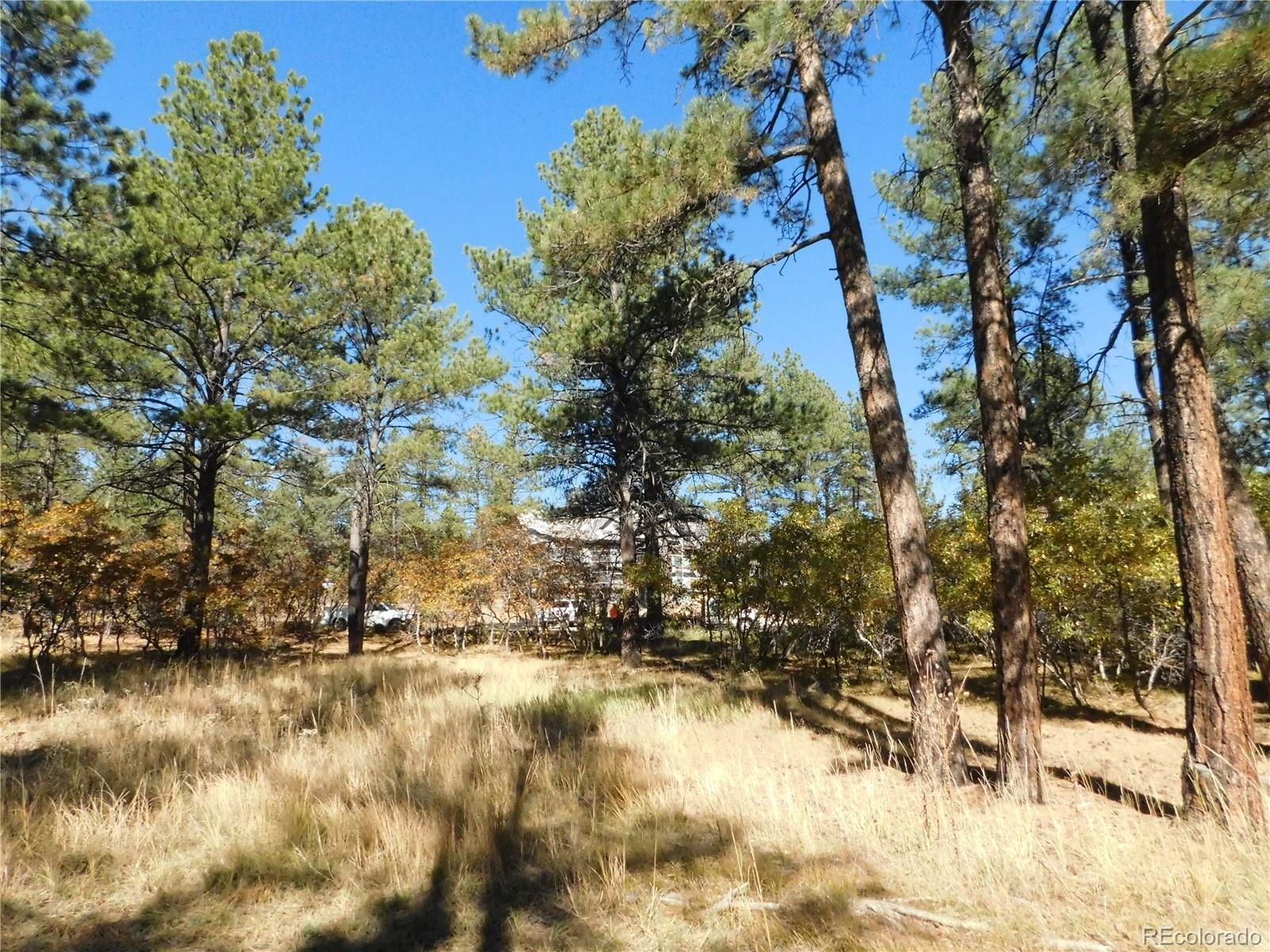 682 Copper Fox Place Larkspur CO 80118