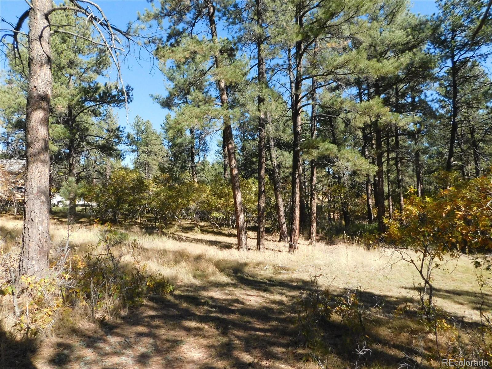 682 Copper Fox Place Larkspur CO 80118