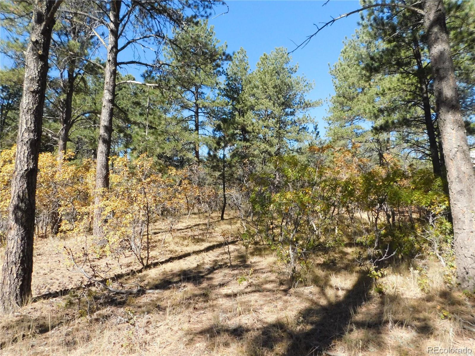 682 Copper Fox Place Larkspur CO 80118