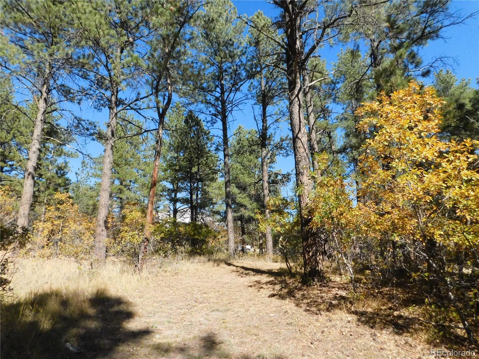 682 Copper Fox Place Larkspur CO 80118