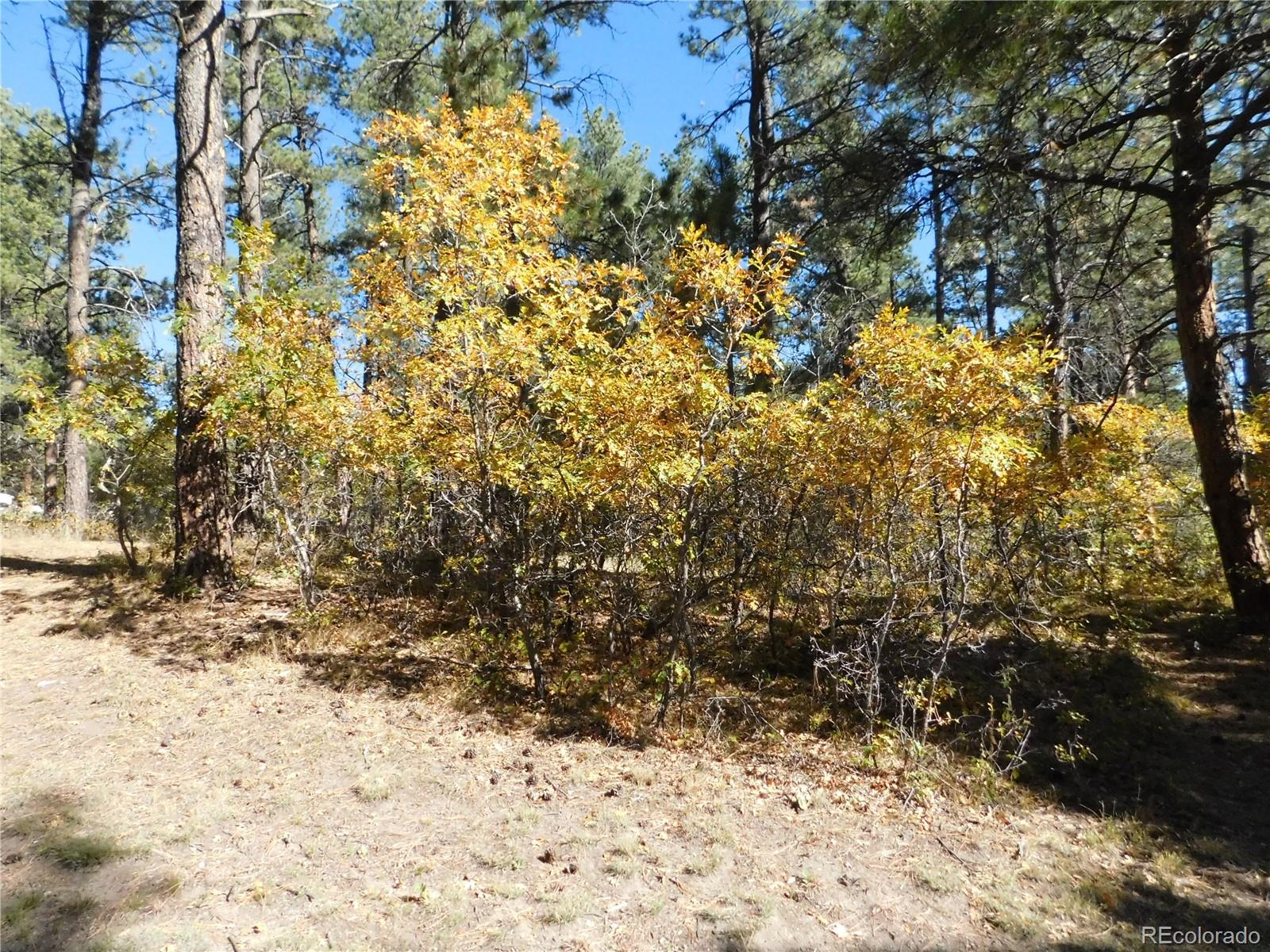 682 Copper Fox Place Larkspur CO 80118