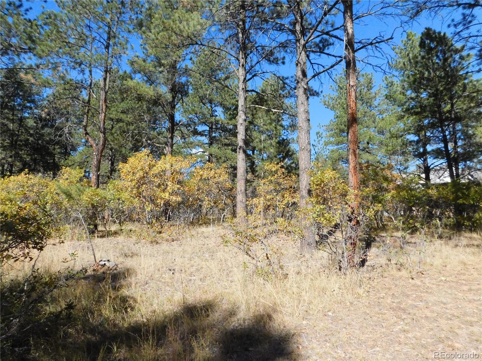 682 Copper Fox Place Larkspur CO 80118