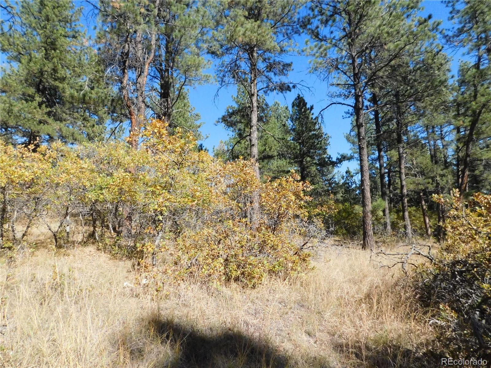 682 Copper Fox Place Larkspur CO 80118