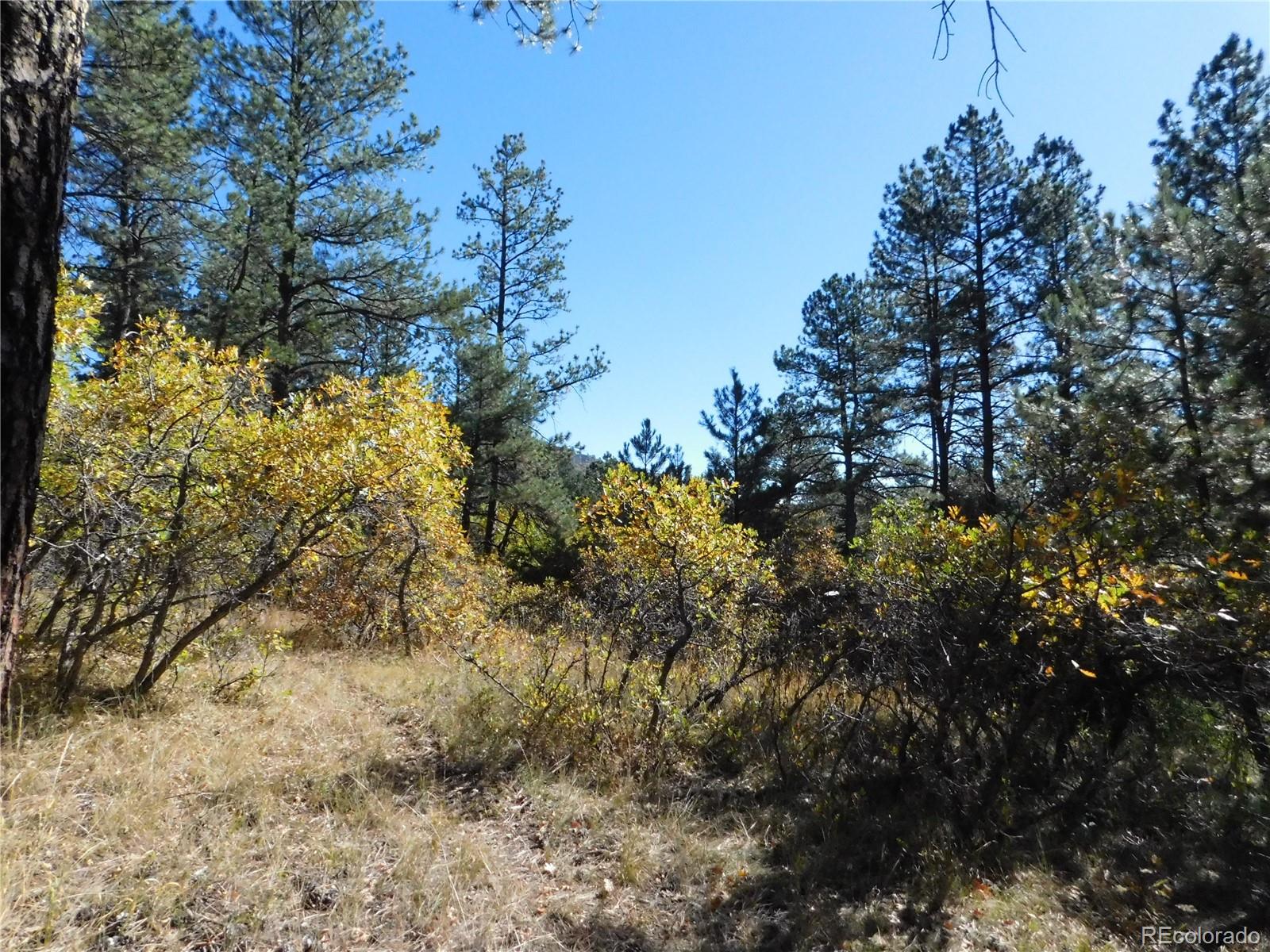 682 Copper Fox Place Larkspur CO 80118