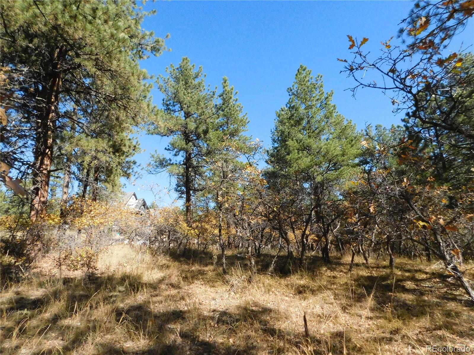 682 Copper Fox Place Larkspur CO 80118