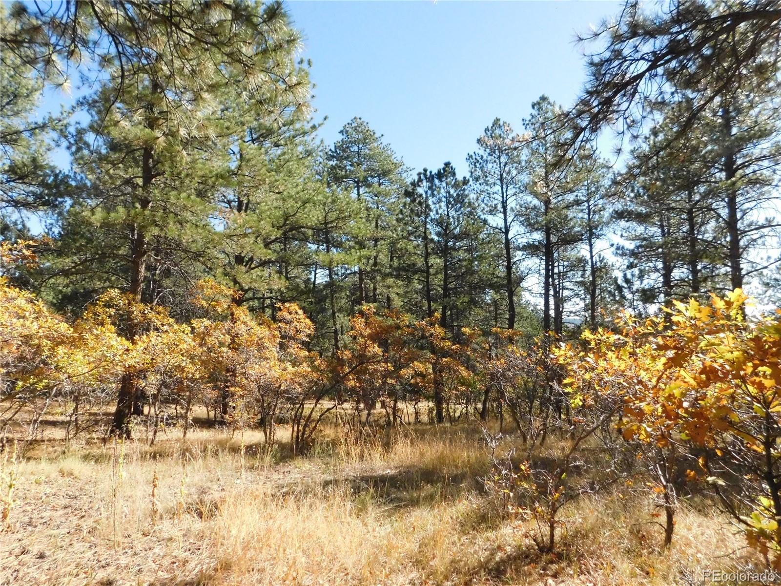 682 Copper Fox Place Larkspur CO 80118