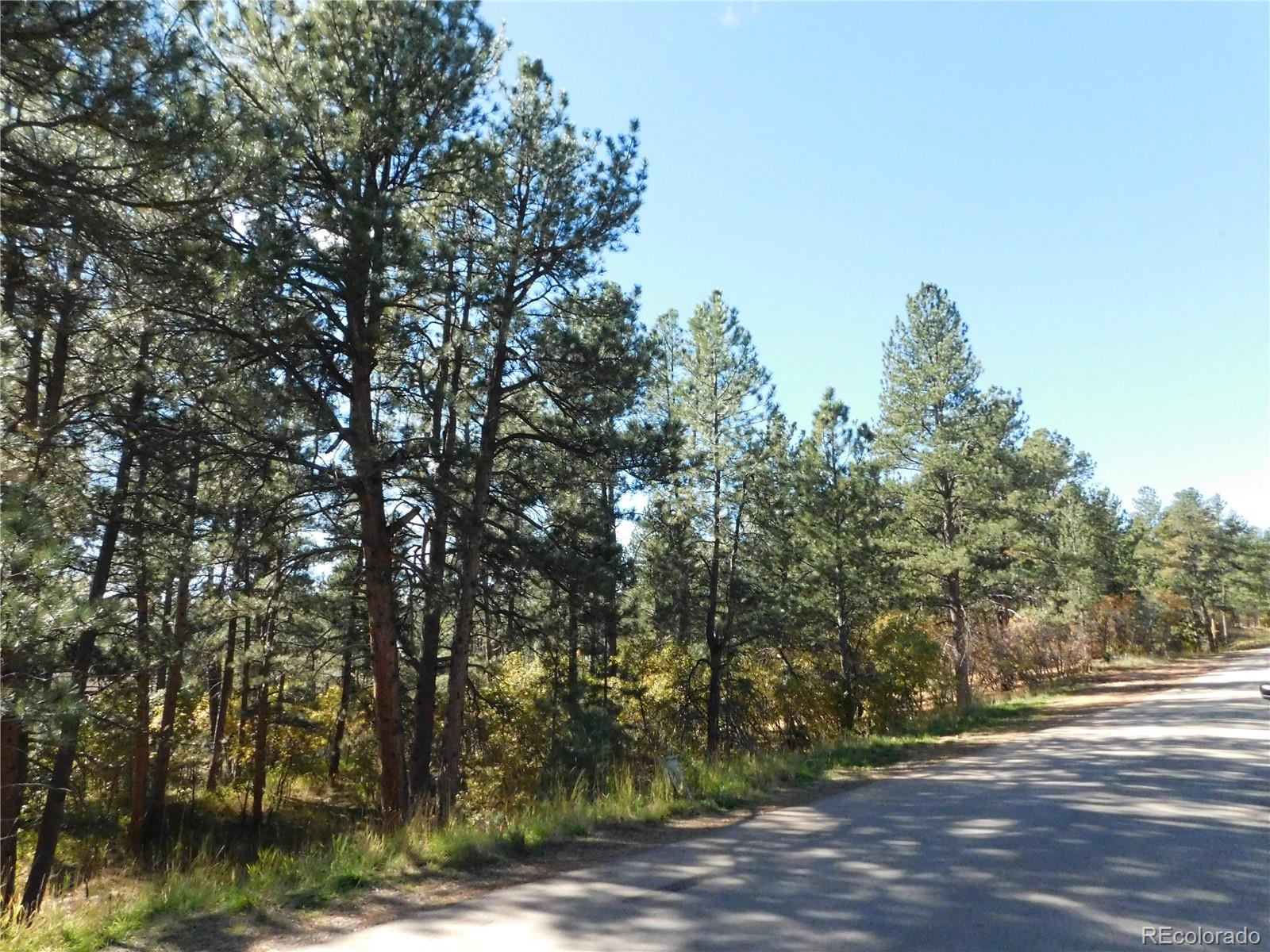 682 Copper Fox Place Larkspur CO 80118