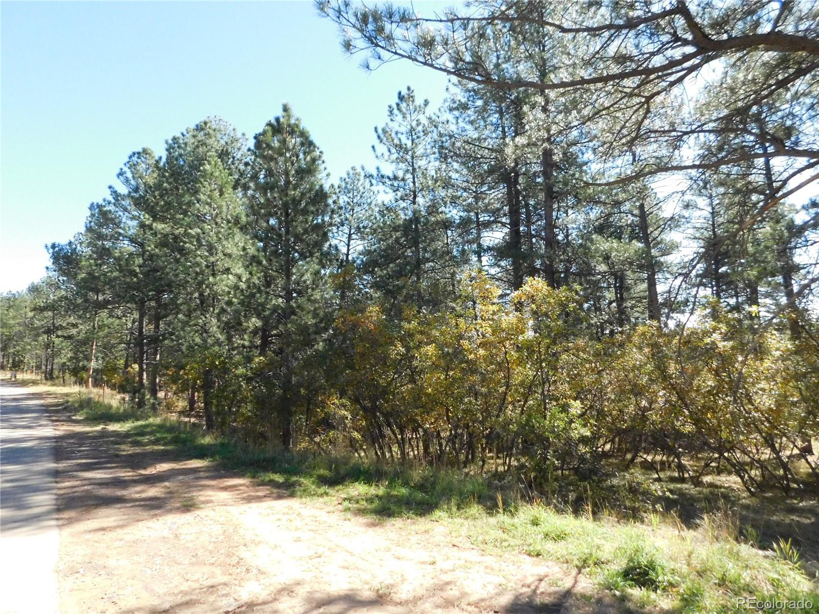 682 Copper Fox Place Larkspur CO 80118