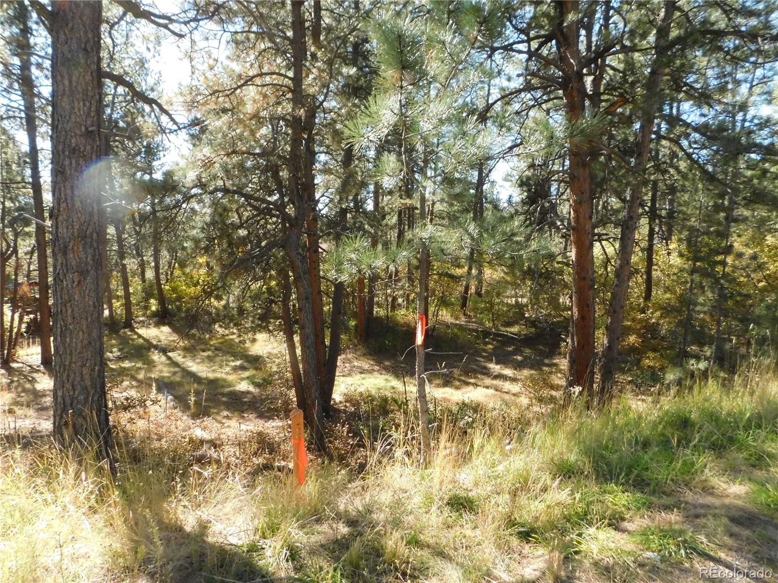 682 Copper Fox Place Larkspur CO 80118