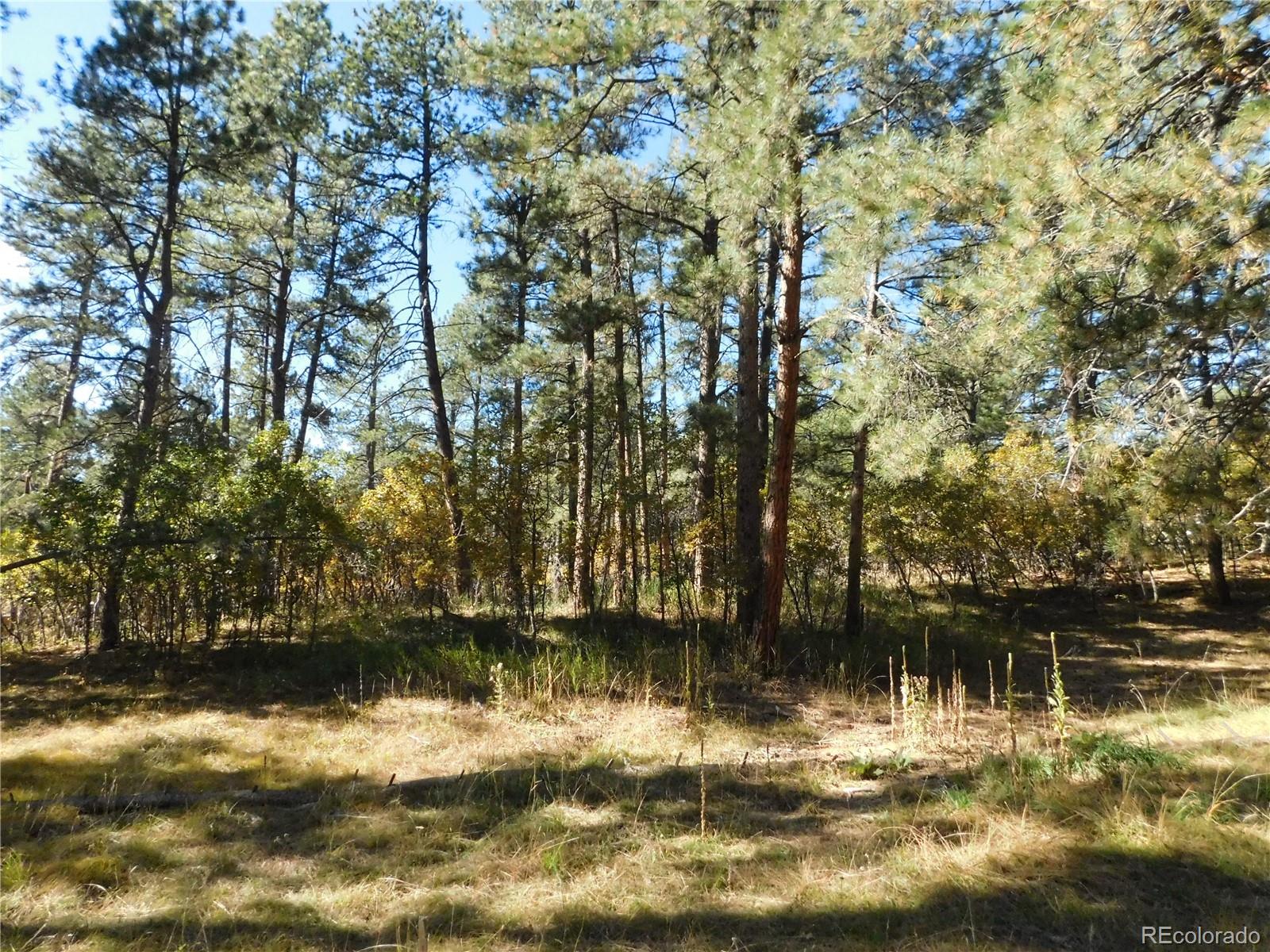 682 Copper Fox Place Larkspur CO 80118