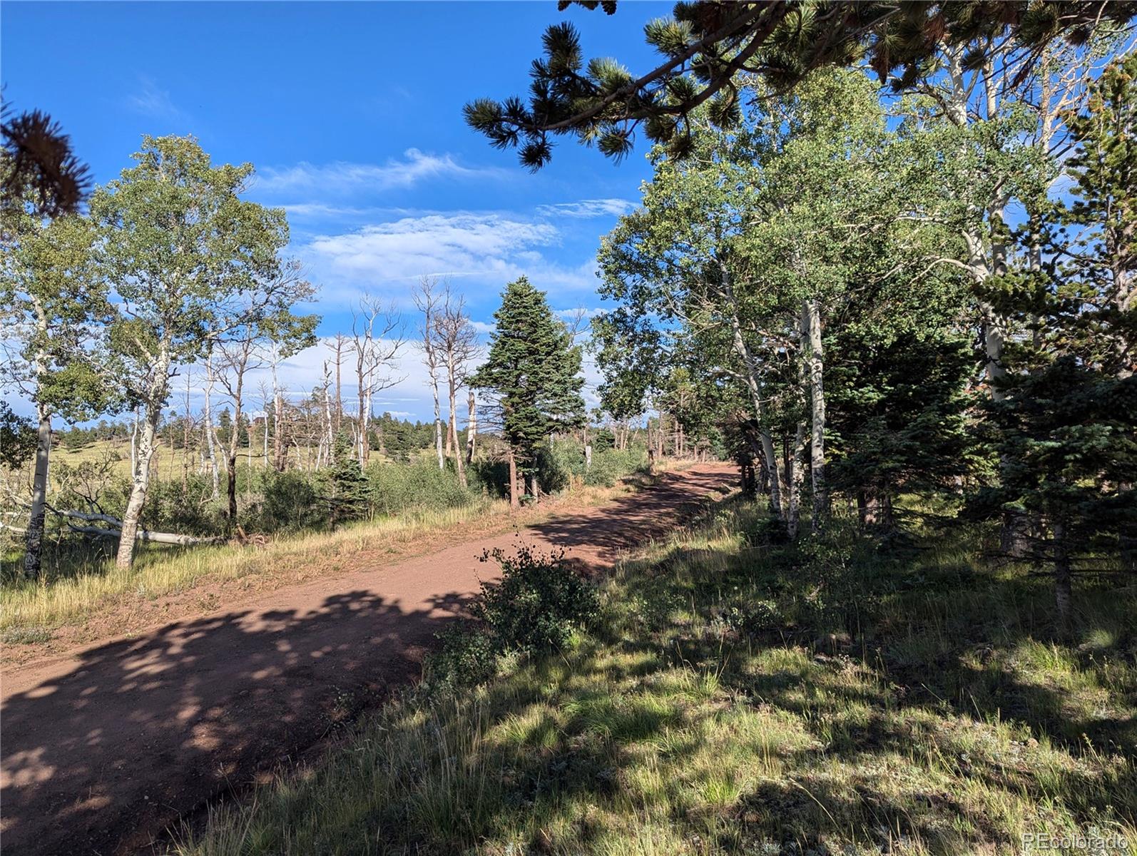 2127 Sigler Drive Fort Garland CO 81133