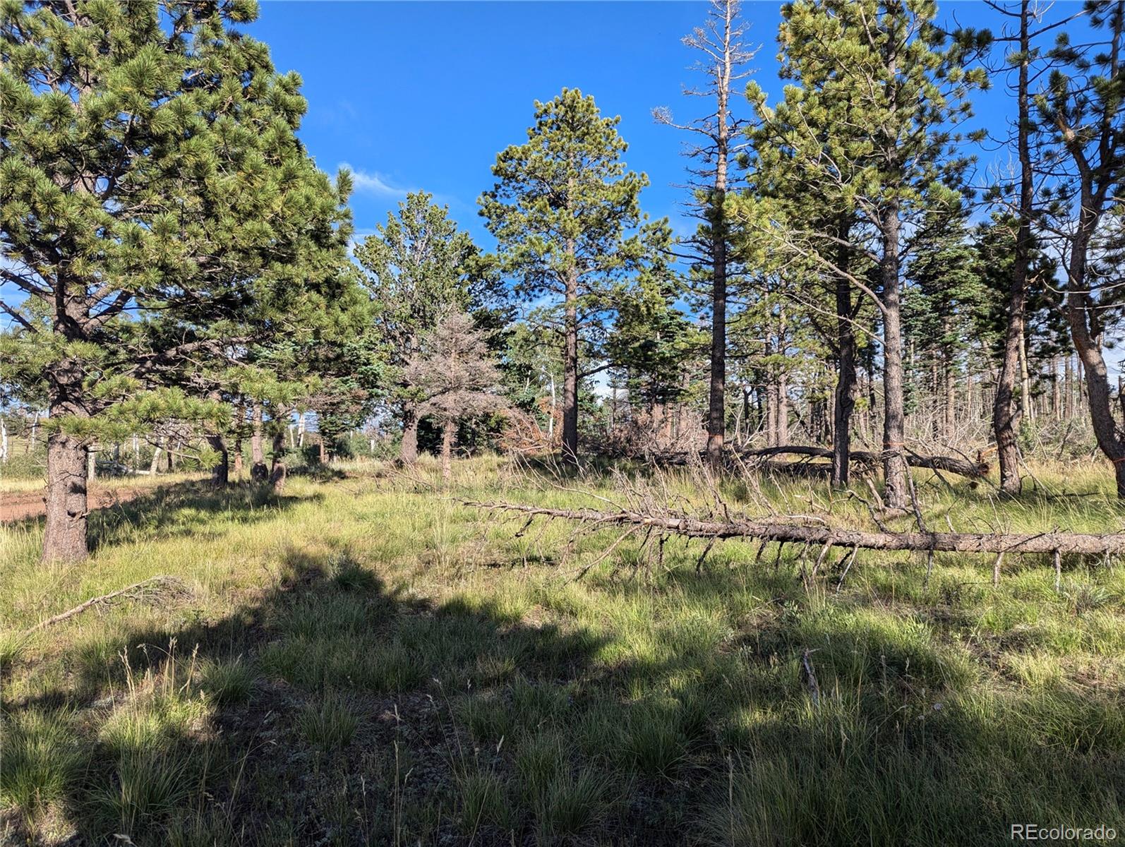 2127 Sigler Drive Fort Garland CO 81133