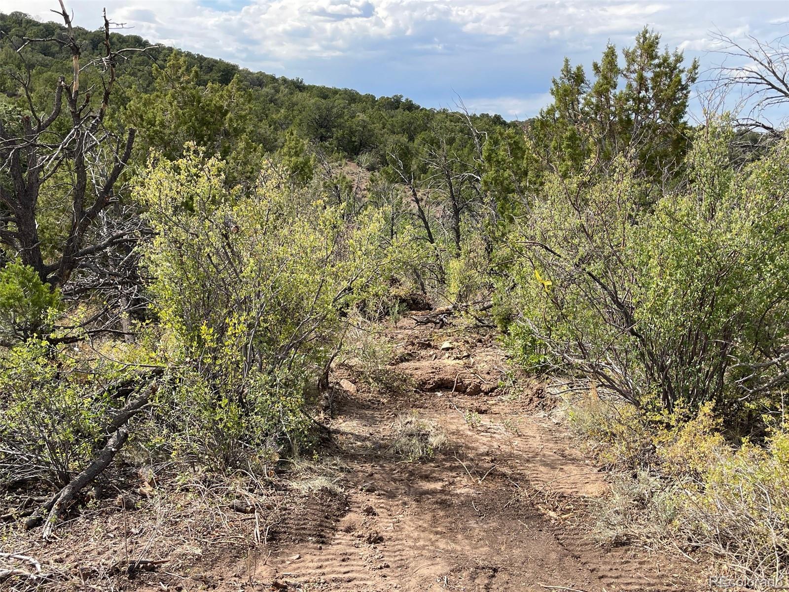 18973 Elk Reserve Road Glade Park CO 81523