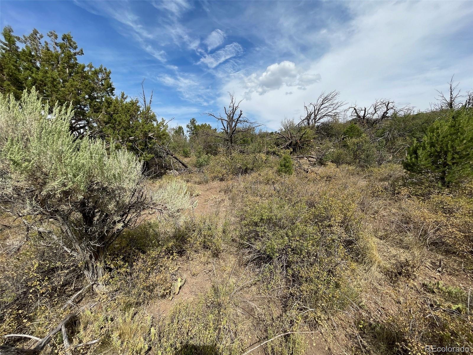 18973 Elk Reserve Road Glade Park CO 81523