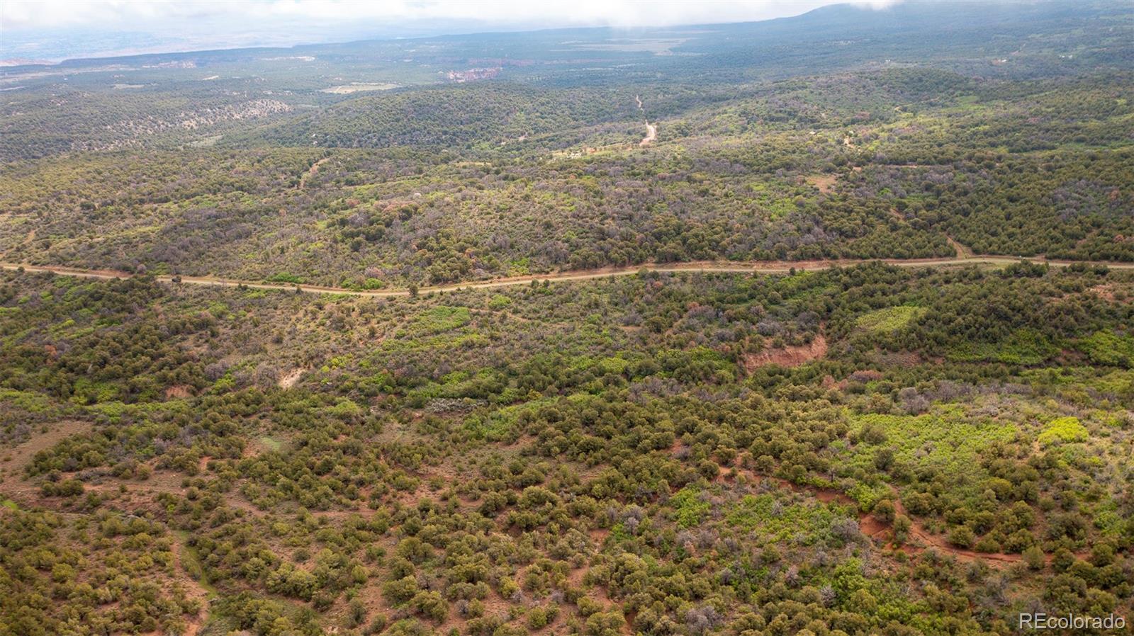 18973 Elk Reserve Road Glade Park CO 81523
