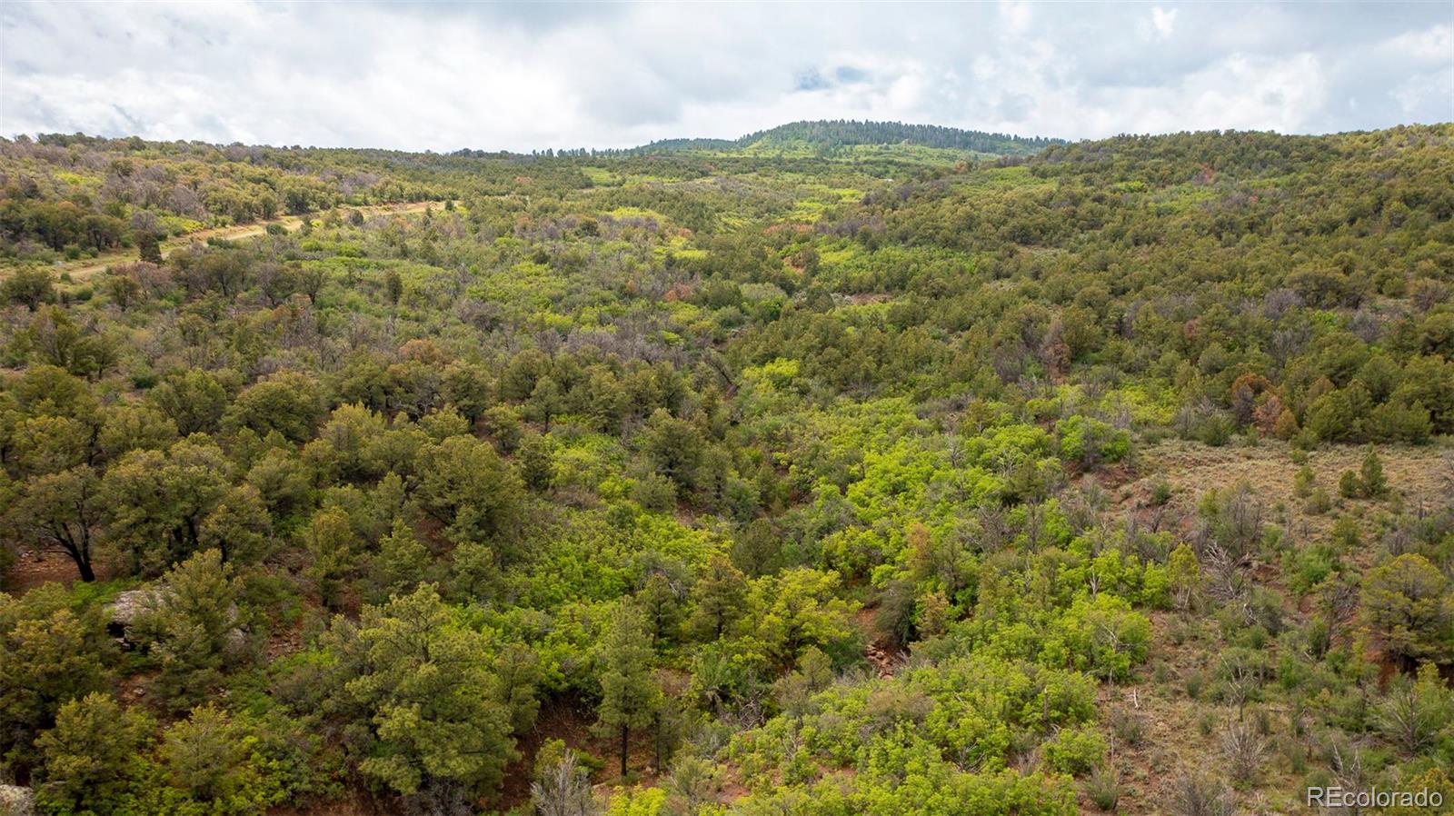 18973 Elk Reserve Road Glade Park CO 81523
