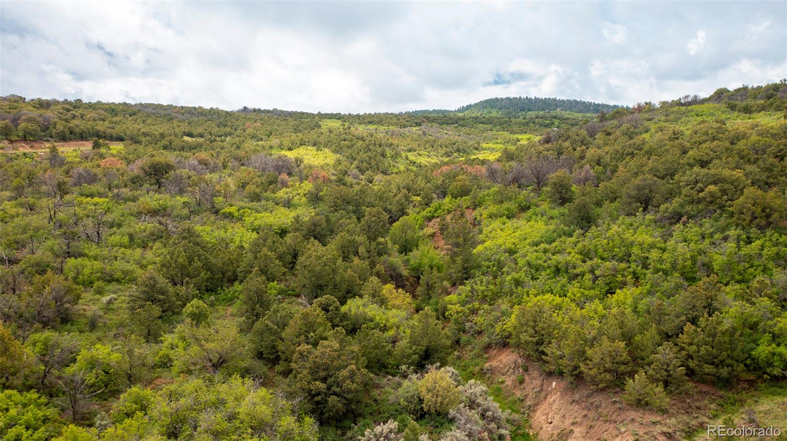 18973 Elk Reserve Road Glade Park CO 81523