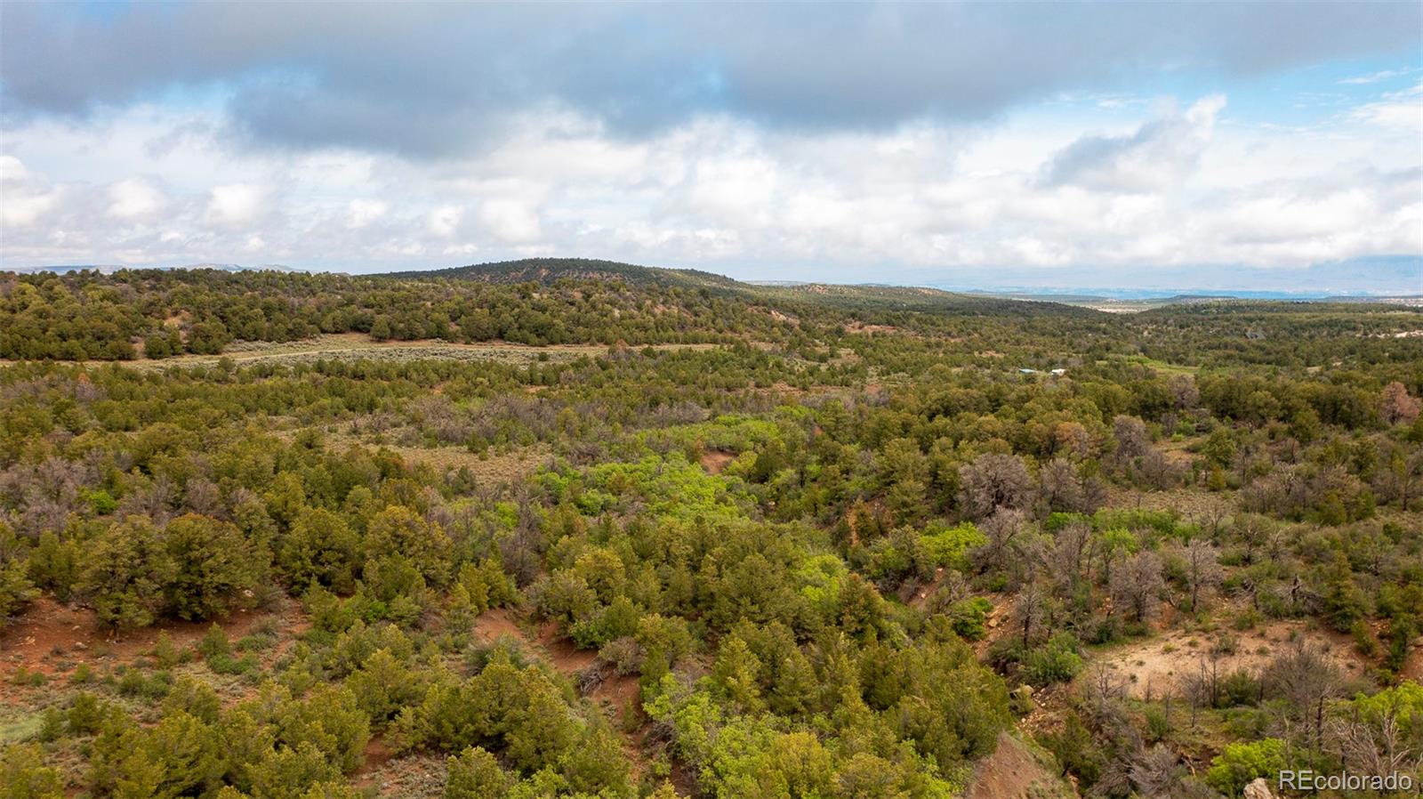 18973 Elk Reserve Road Glade Park CO 81523