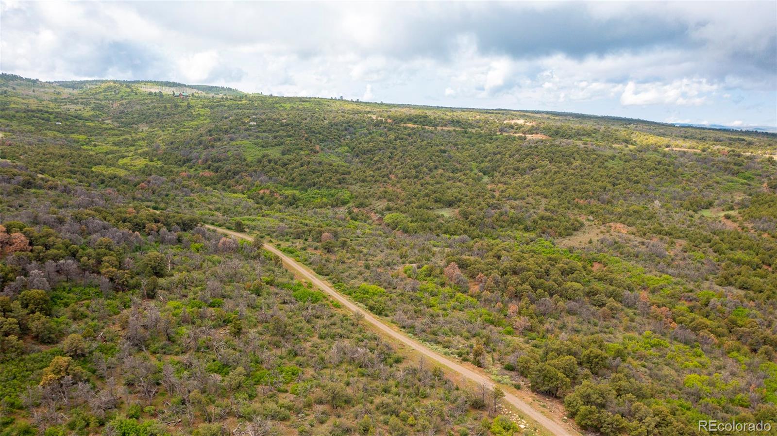 18973 Elk Reserve Road Glade Park CO 81523