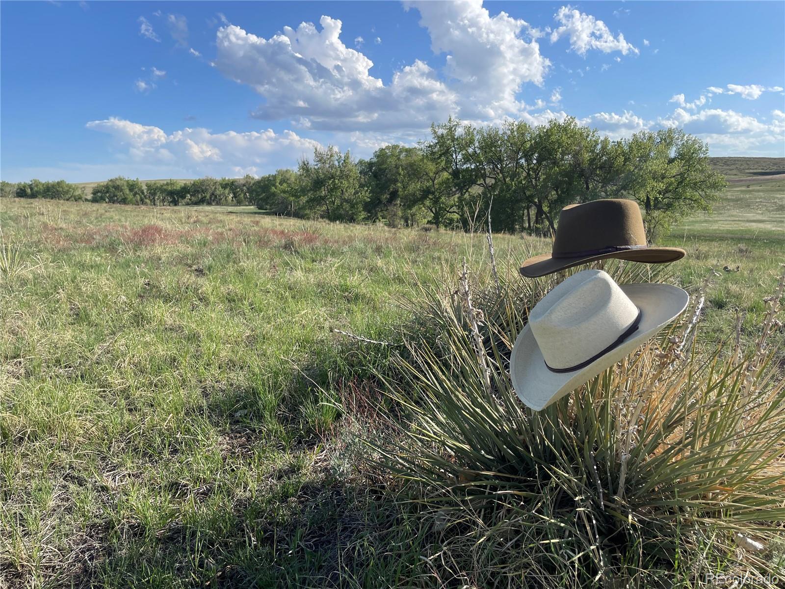 0 Lot 8 Calmness Street Kiowa CO 80117