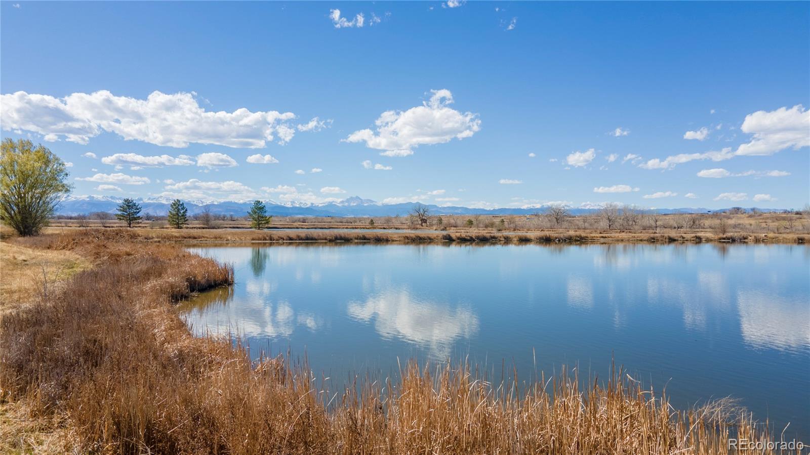 4791 County Road 24 3/4 Longmont CO 80504
