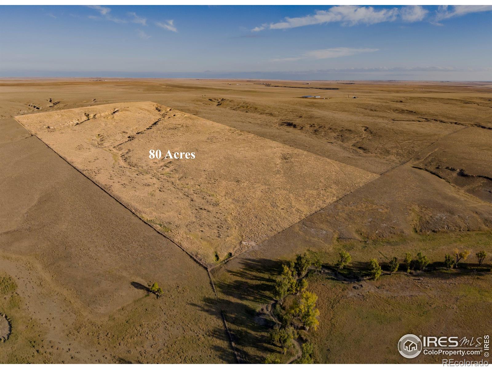 0 Tbd Cr 94 Briggsdale CO 80611