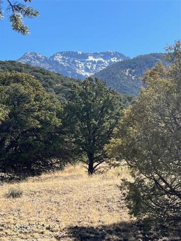 1718 Willow Creek Way Crestone CO 81131