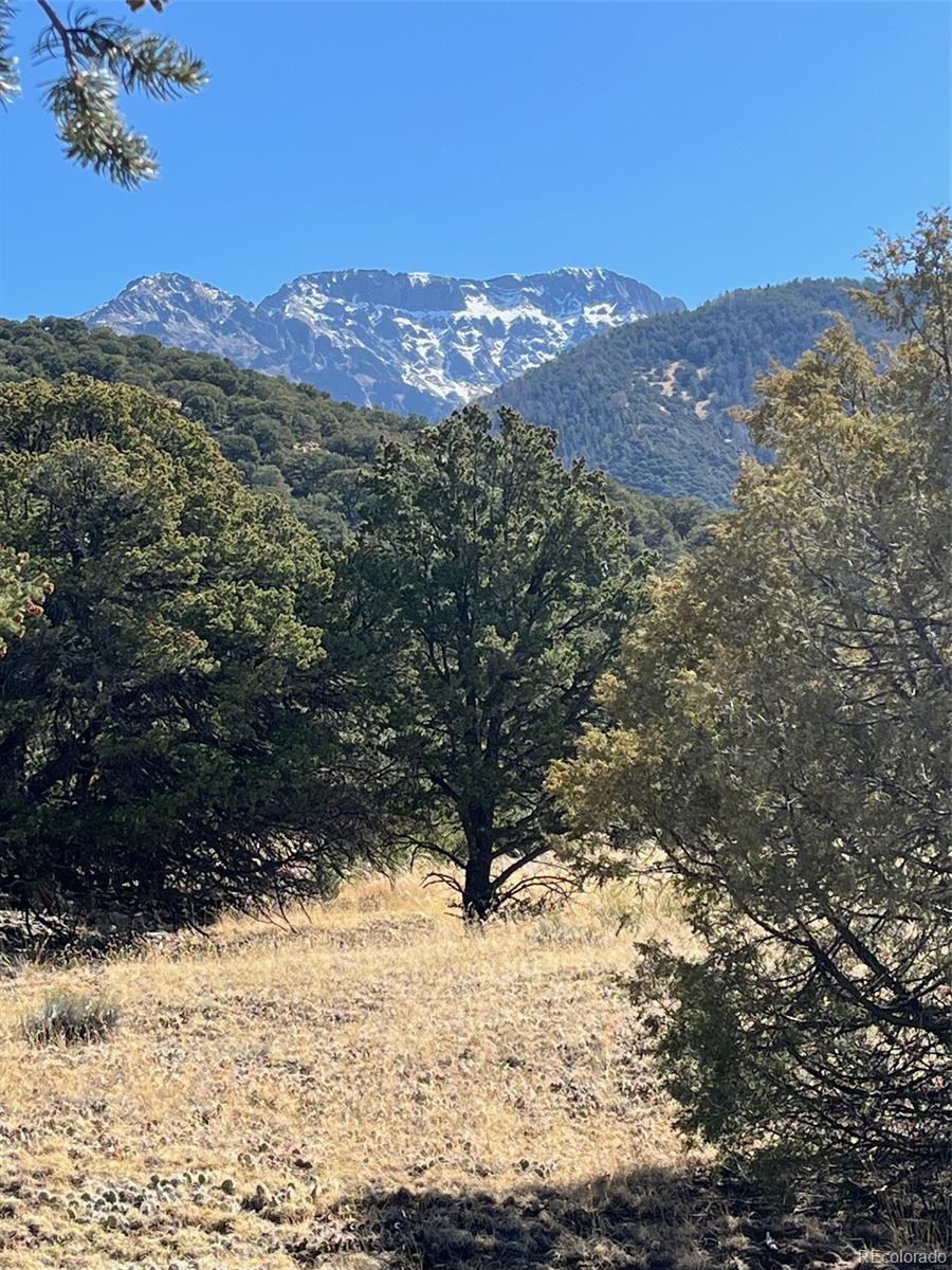 1718 Willow Creek Way Crestone CO 81131