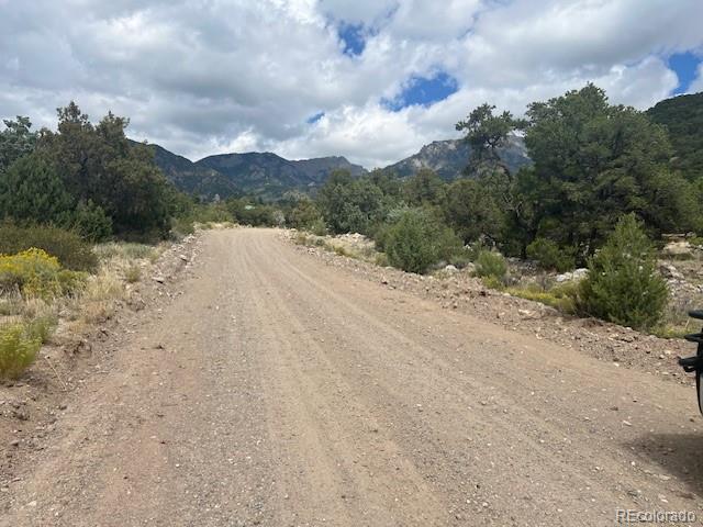 1718 Willow Creek Way Crestone CO 81131
