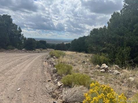 1718 Willow Creek Way Crestone CO 81131