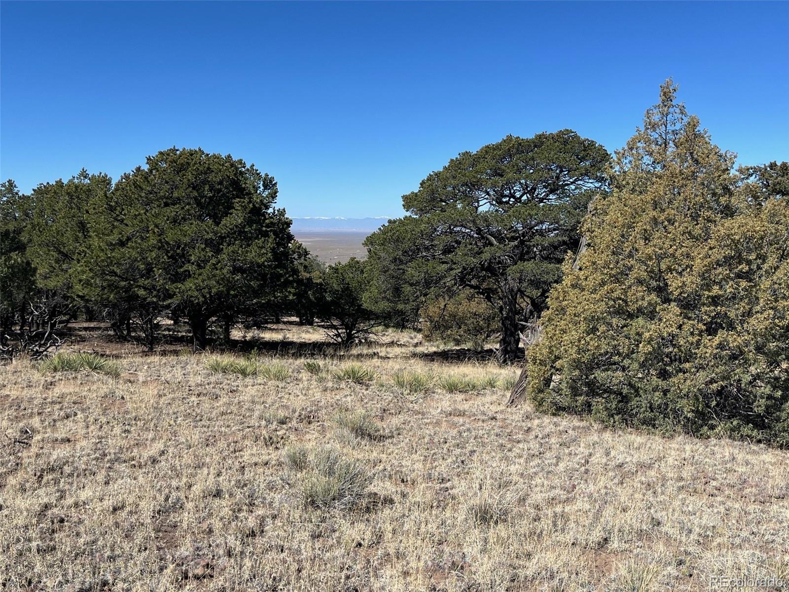 1718 Willow Creek Way Crestone CO 81131