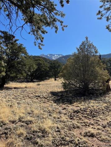 1718 Willow Creek Way Crestone CO 81131