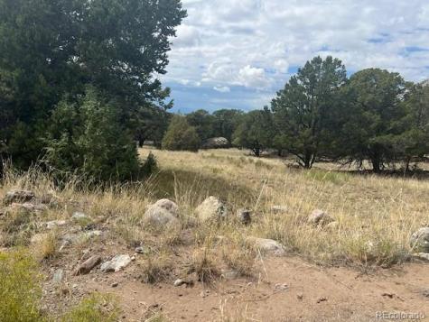 1718 Willow Creek Way Crestone CO 81131