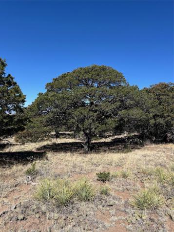 1718 Willow Creek Way Crestone CO 81131