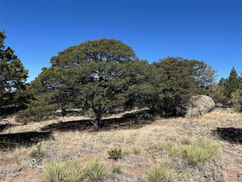 1718 Willow Creek Way Crestone CO 81131