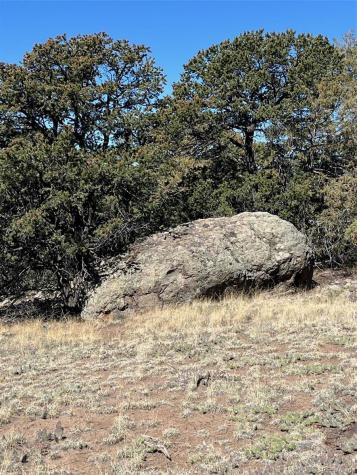 1718 Willow Creek Way Crestone CO 81131