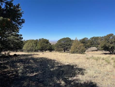 1718 Willow Creek Way Crestone CO 81131