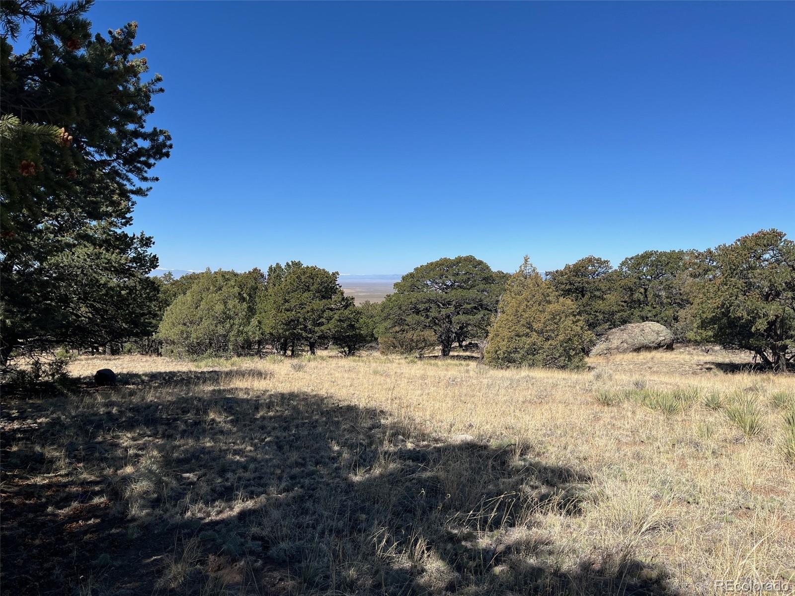 1718 Willow Creek Way Crestone CO 81131