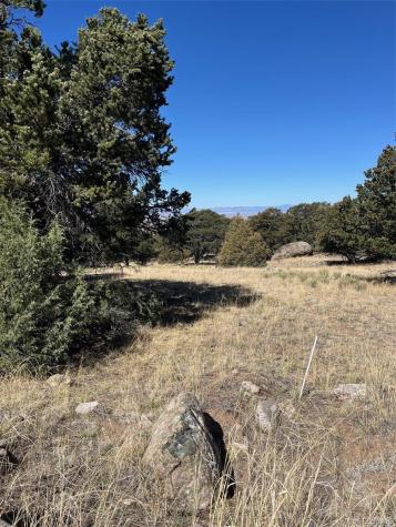 1718 Willow Creek Way Crestone CO 81131