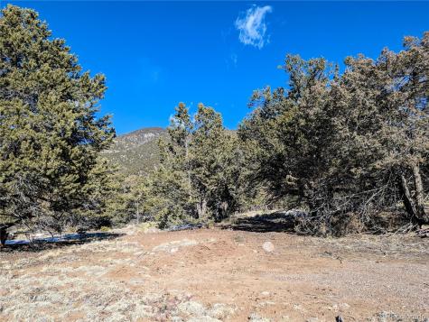 4229 Radiant Crestone CO 81131