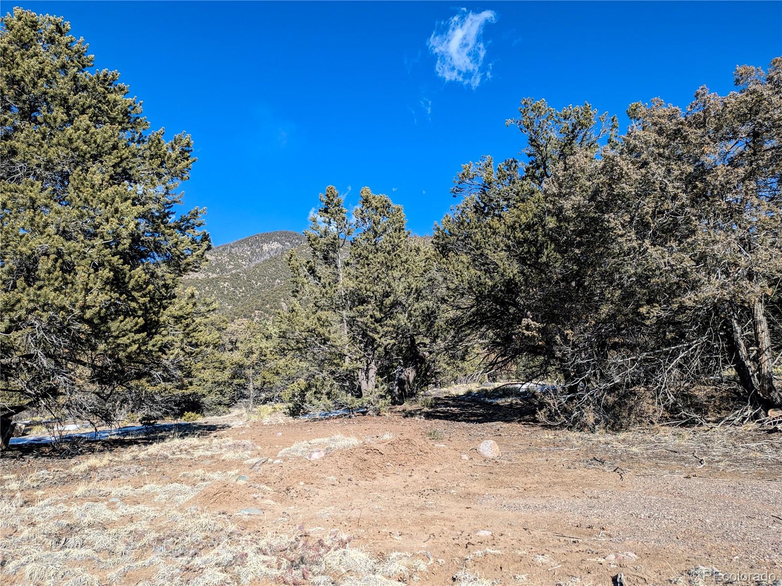 4229 Radiant Crestone CO 81131
