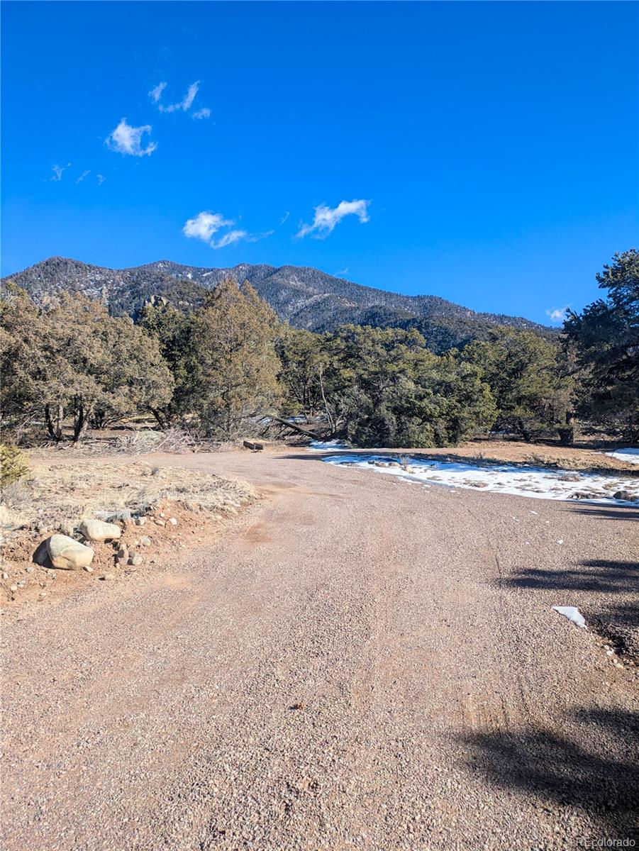 4229 Radiant Crestone CO 81131