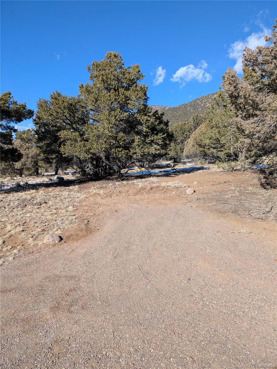 4229 Radiant Crestone CO 81131