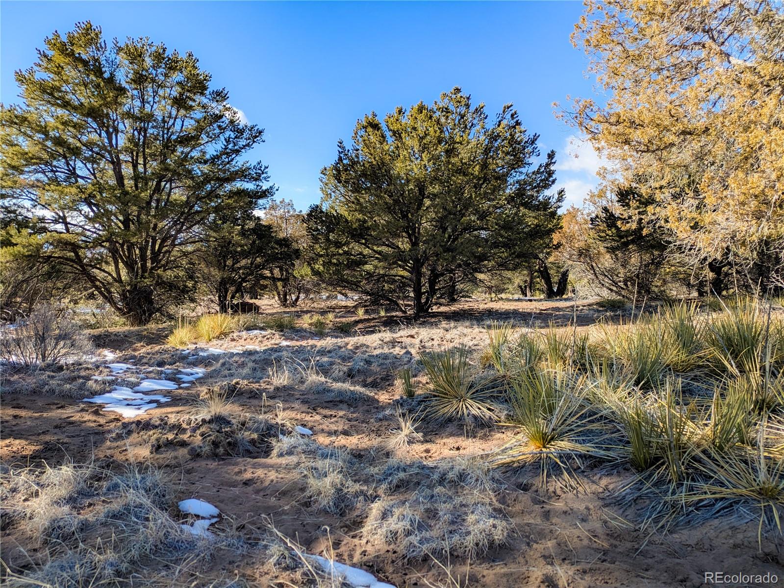 4229 Radiant Crestone CO 81131